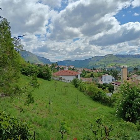 Gite Des Grands Causses Millau Exterior foto